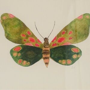 Colorful Butterfly Art Print